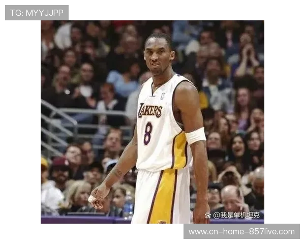 NBA常规赛各队篮板数据分化 骑士冲抢比例27.4%领跑