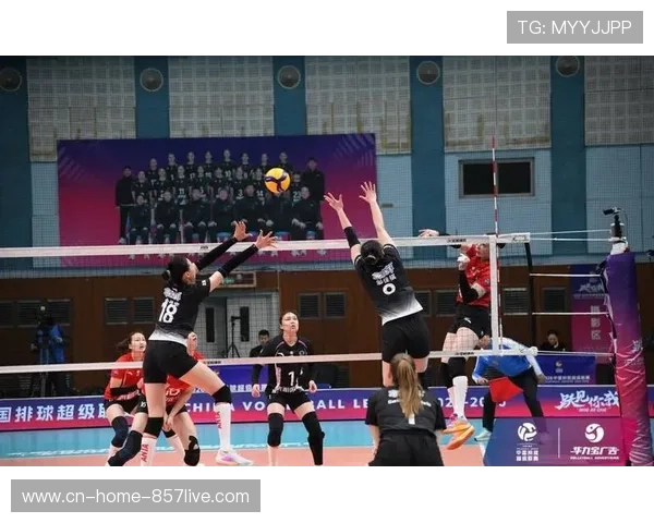 上海光明优倍女排签加拿大接应范赖克 土超单赛季55记ACE球